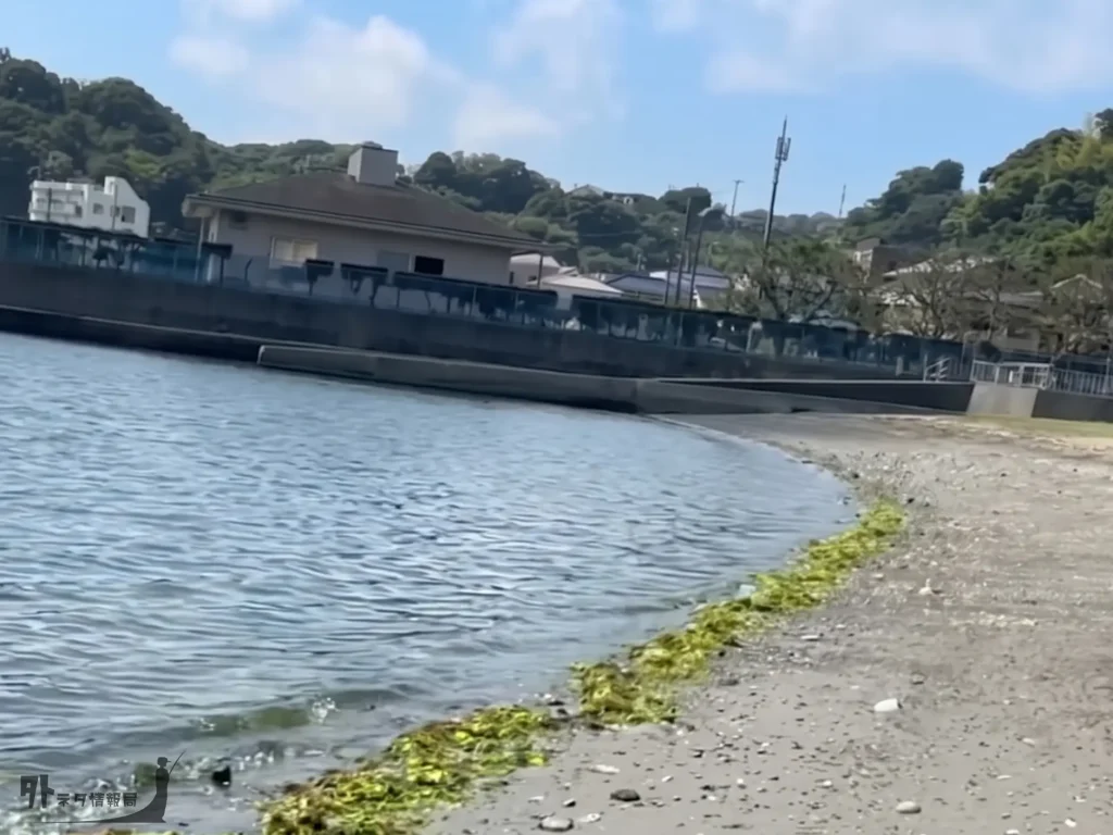 鴨居海岸の砂浜