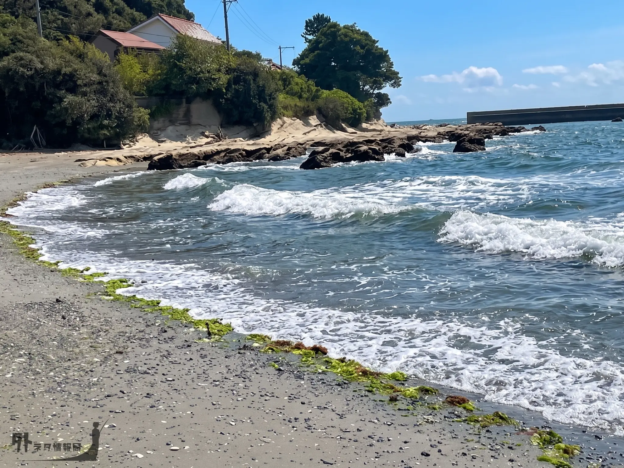 鴨居海岸