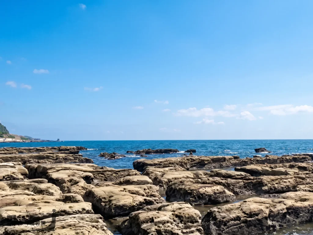 鴨居海岸の磯