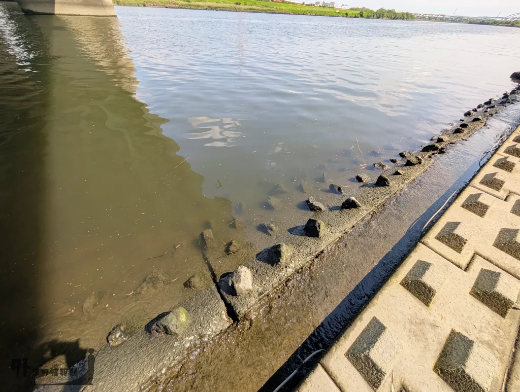 鹿浜橋の護岸際の画像